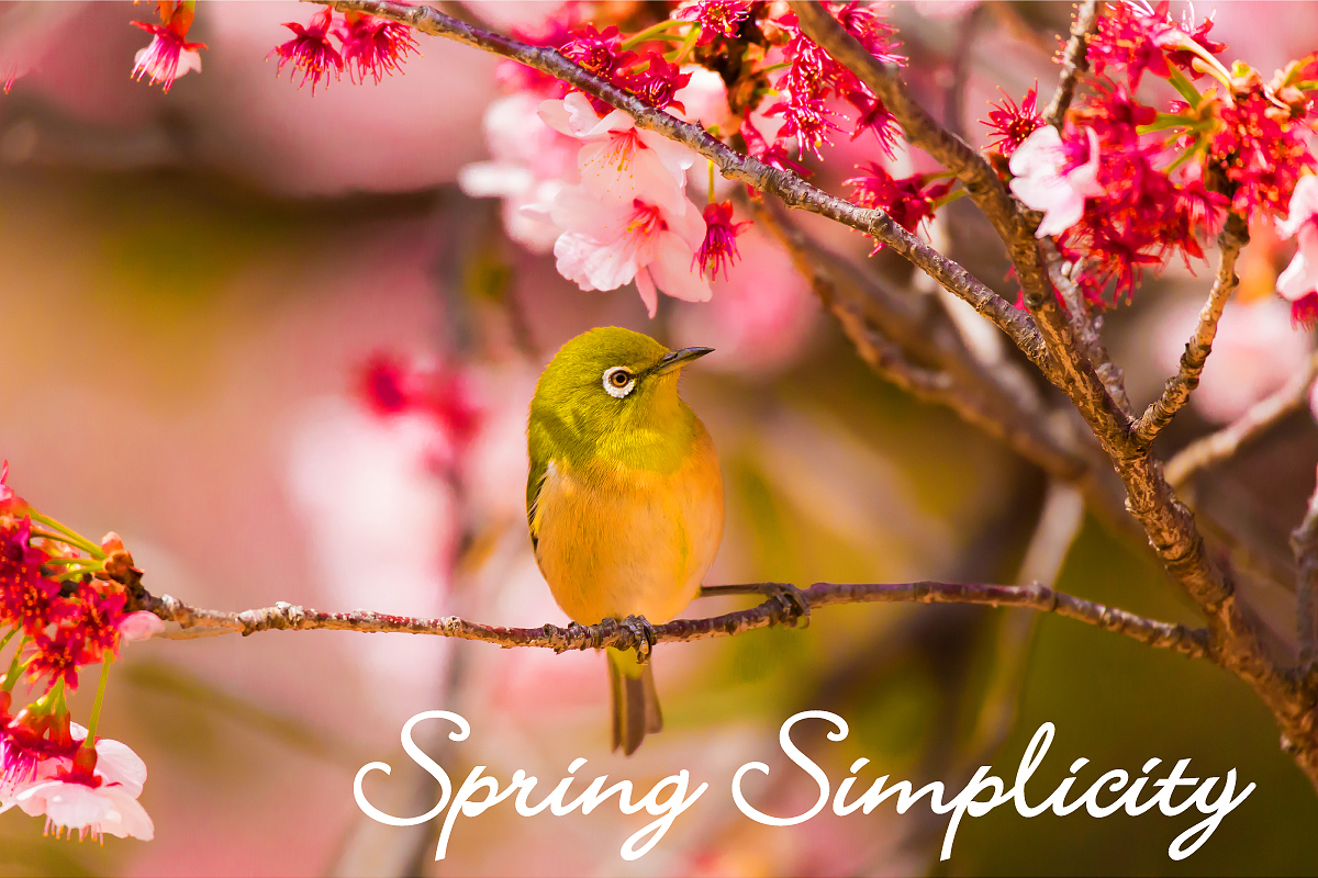 Spring Simplicity