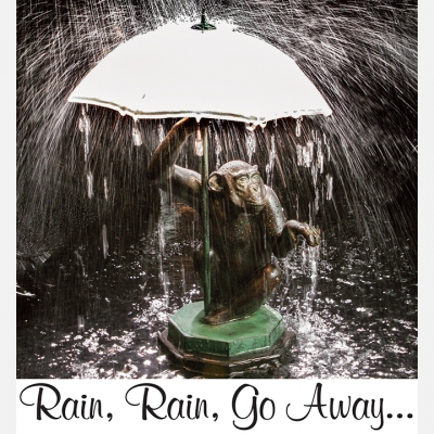 2019 MAY - Rain, Rain, Go Away...