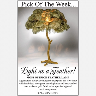 2019 JULY - OSTRICH FEATHER LAMP