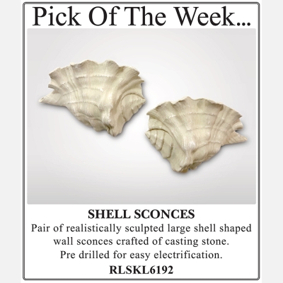 2025 Shell Sconces
