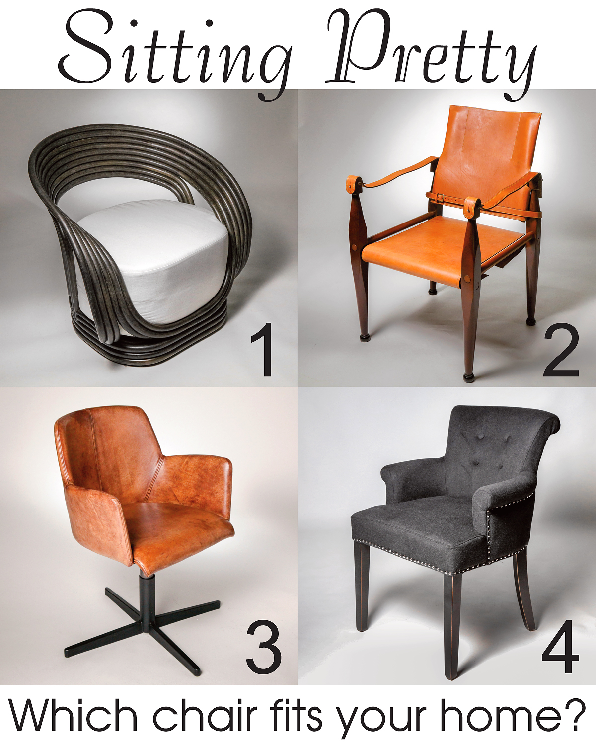 Sitting Pretty...Which Chair Fits Your Home?