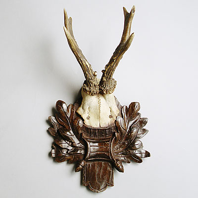 VICTORIAN ANTLER TROPHY