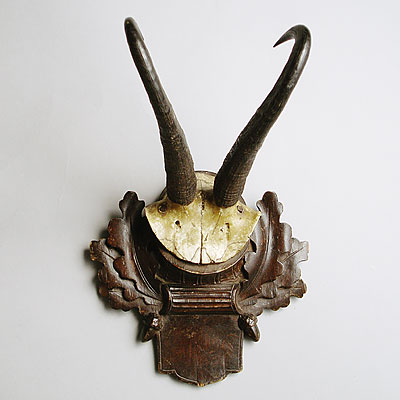 VICTORIAN ANTLER TROPHY