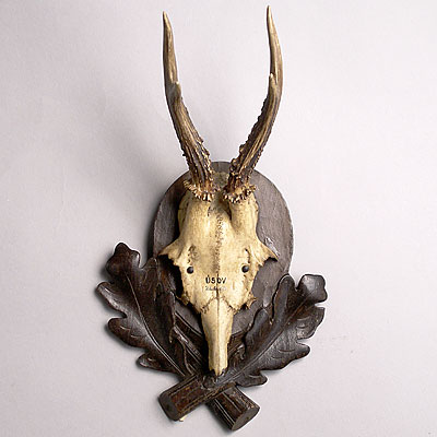 VICTORIAN ANTLER TROPHY