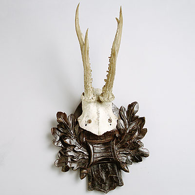 VICTORIAN ANTLER TROPHY