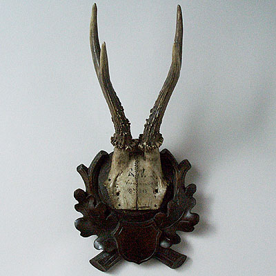 VICTORIAN ANTLER TROPHY