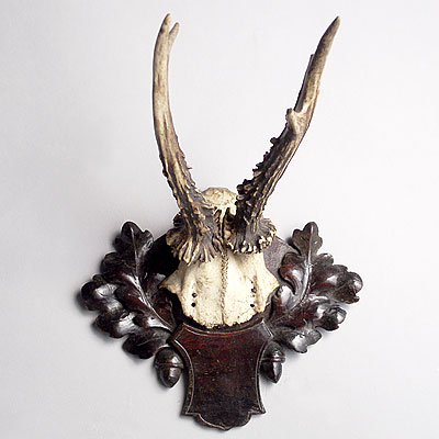 VICTORIAN ANTLER TROPHY