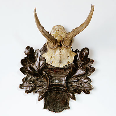 VICTORIAN ANTLER TROPHY