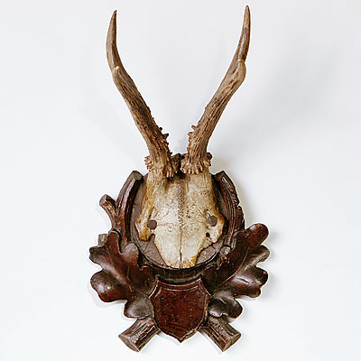 VICTORIAN ANTLER TROPHY