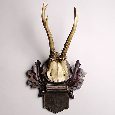 VICTORIAN ANTLER TROPHY