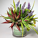 BOUQUET OF SUCCULENTS