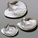 A MOTHER OF PEARL CAVIAR DISH SET