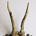 VICTORIAN ANTLER TROPHY