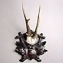 VICTORIAN ANTLER TROPHY