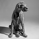 SEATED LEAD DOG