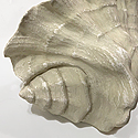 SHELL SCONCES